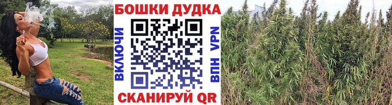 Какие есть наркотики Зеленокумск Канабис  КЕТАМИН  ГАШИШ  МЕТАДОН  Cocaine  СОЛЬ 