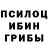 Псилоцибиновые грибы Psilocybine cubensis Fortnite 0864
