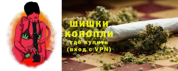 тгк Володарск